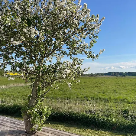 Nature Retreat With Views Near Prázdninový dům